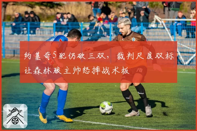 约基奇5犯仍砍三双，裁判尺度双标让森林狼主帅怒摔战术板
