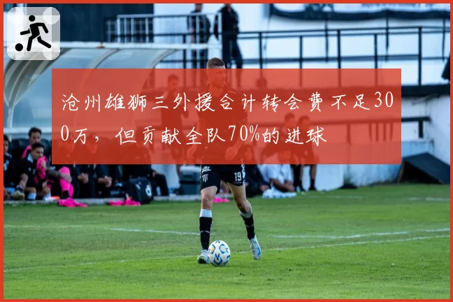 沧州雄狮三外援合计转会费不足300万，但贡献全队70%的进球
