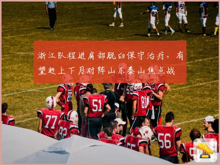 浙江队程进肩部脱臼保守治疗,有望赶上下月对阵山东泰山焦点战