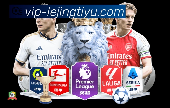 体育平台欢迎图